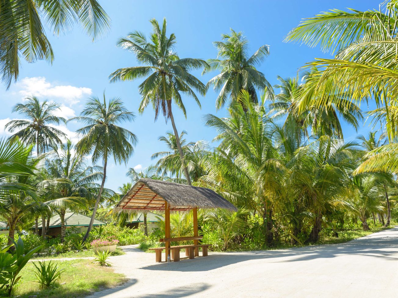 JUDIKATÚRA: Ukončenie balíka cestovných služieb v prípade výnimočných okolností